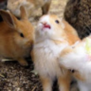 Meet your Posher, Jen